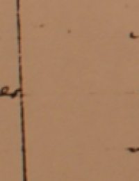 bevolkingslijst Kranenburg 1799 Anna Dorathea Roosenboom